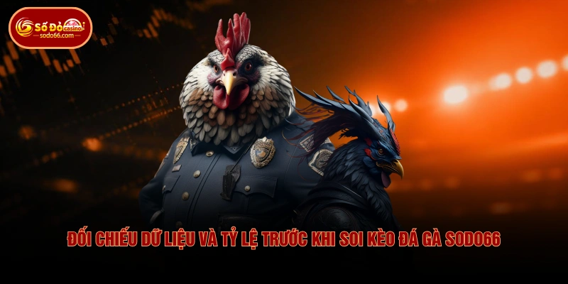 Kinh Nghiệm Soi Kèo Đá Gà SODO66 Giúp Chọn Cửa Chuẩn Xác 4 Kinh Nghiệm Soi Kèo Đá Gà SODO66 Giúp Chọn Cửa Chuẩn Xác Đối chiếu dữ liệu và tỷ lệ trước khi soi kèo đá gà SODO66