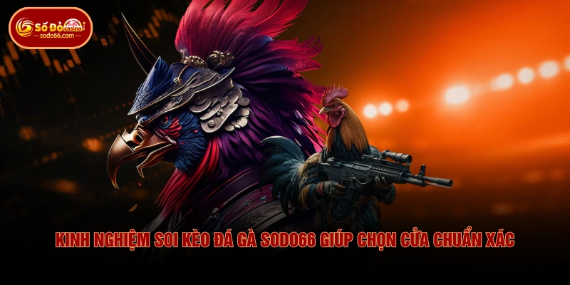 Kinh Nghiệm Soi Kèo Đá Gà SODO66 Giúp Chọn Cửa Chuẩn Xác 2 Kinh Nghiệm Soi Kèo Đá Gà SODO66 Giúp Chọn Cửa Chuẩn Xác Kinh Nghiệm Soi Kèo Đá Gà SODO66 Giúp Chọn Cửa Chuẩn Xác
