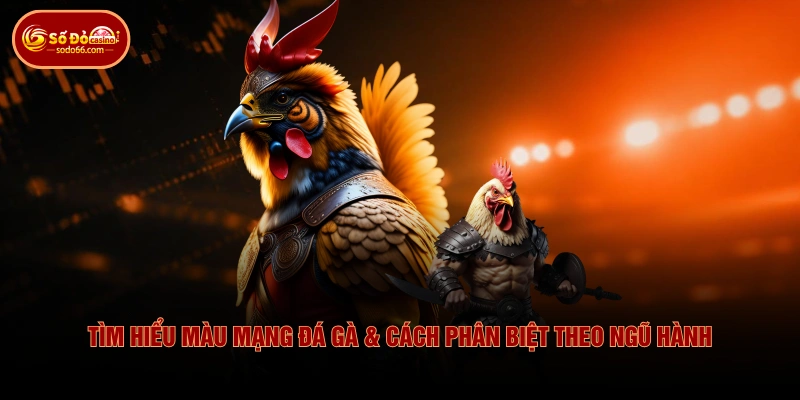 Tìm Hiểu Màu Mạng Đá Gà & Cách Phân Biệt Theo Ngũ Hành 1 Tìm Hiểu Màu Mạng Đá Gà & Cách Phân Biệt Theo Ngũ Hành Tìm Hiểu Màu Mạng Đá Gà & Cách Phân Biệt Theo Ngũ Hành